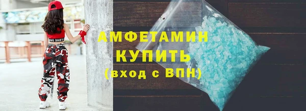 индика Бородино