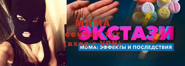 индика Бородино