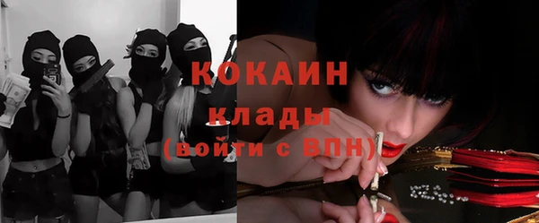 индика Бородино