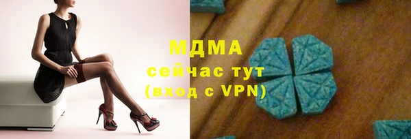 индика Бородино