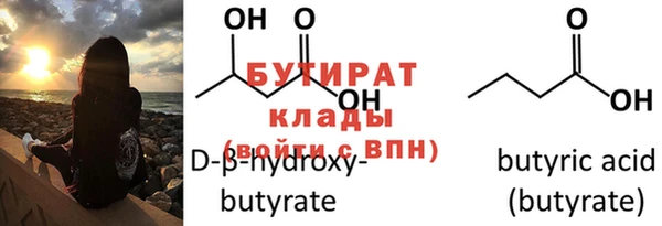 индика Бородино