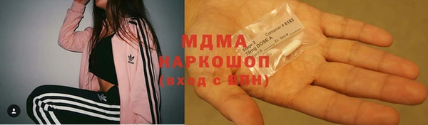 индика Бородино