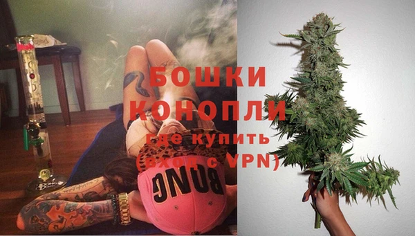 индика Бородино