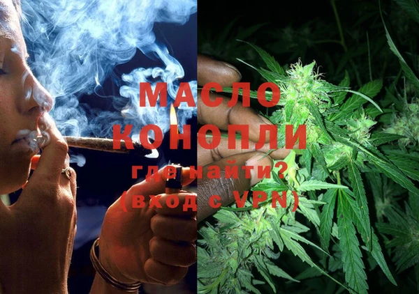 индика Бородино
