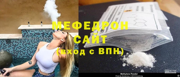 индика Бородино