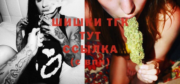 индика Бородино