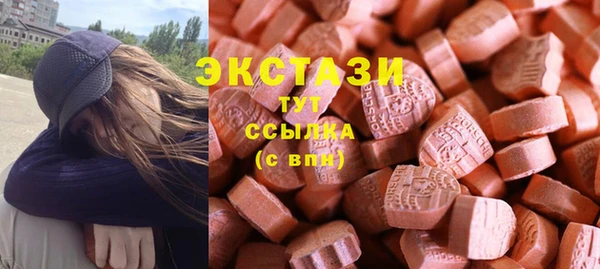 индика Бородино