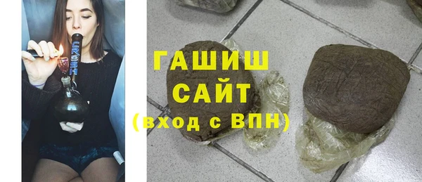 индика Бородино