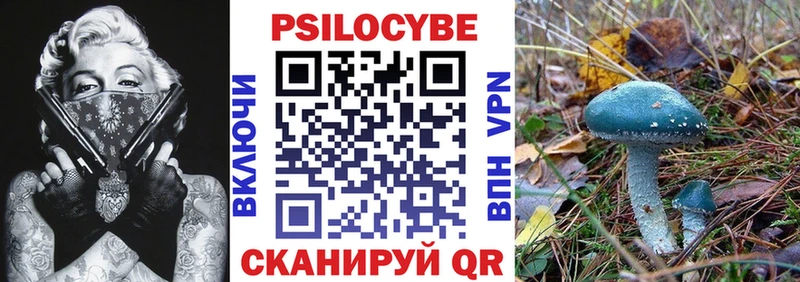 Галлюциногенные грибы MAGIC MUSHROOMS  где продают наркотики  Кировград 